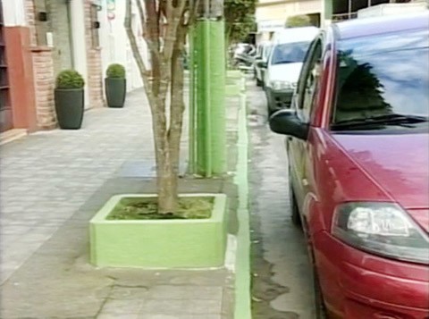 Os meios-fios foram pintados de verde devido ao centenário de Orleans  -  Foto:Reprodução RBS TV/Divulgação/Notisul