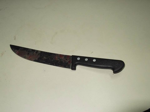 A faca usada no crime era da acusada, de 21 anos   - Foto:Polícia Civil de Laguna /Divulgação/Notisul