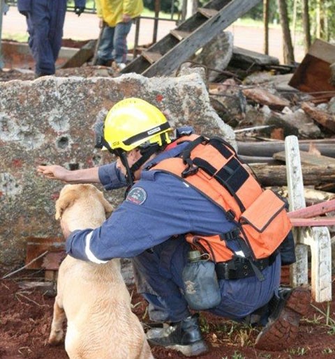 Santa Catarina é um dos pioneiros no serviço de salvamento utilizando cães  -  Foto:CBMSC/Divulgação/Notisul