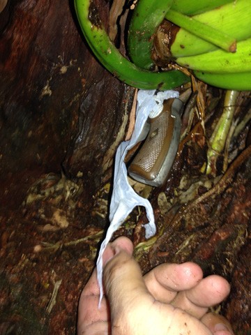 A arma utilizada no crime estava em um saco plástico dentro de um toco de uma árvore, em um banhado em Morro Grande, Sangão    - Foto:Polícia Civil de Sangão/Divulgação/Notisul