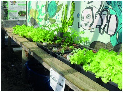 escola-recebe-premio-por-projeto-ambiental-1 O sistema trata-se de produção agroalimentar que integra a aquicultura com a hidroponia - Foto:Divulgação/Notisul