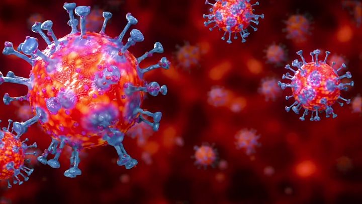 Coronavírus: sexto caso é confirmado em Imbituba