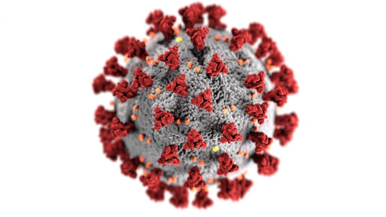 Coronavírus em Imbituba: primeiro caso de transmissão comunitária é registrado