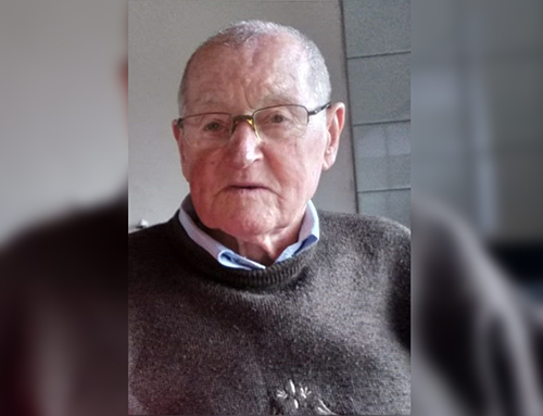 Domínicos Weber, 87 anos: do morro cheio de pedras, garantiu o sustento da família