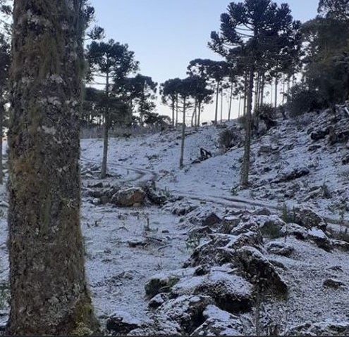 Frio intenso: São Joaquim registra -0,9ºC durante a neve desta quinta-feira