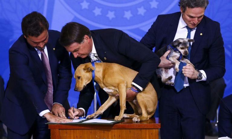 Bolsonaro leva cão caramelo para sancionar lei que aumenta pena para maus-tratos de animais