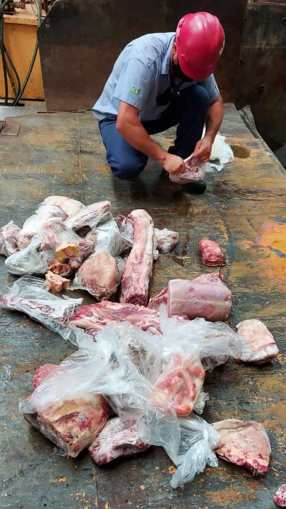 Tubarão: Vigilância Sanitária apreende mais de 300 quilos de carne fora das normas de conservação