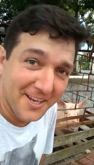 Agricultor perde porca no Centro de Treze de Maio e resgate viraliza na internet