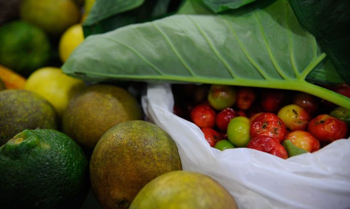 #Pracegover Foto: na imagem há alimentos como frutas e verduras