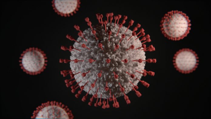 #Pracegover Na foto, ilustração da célula do novo coronavírus
