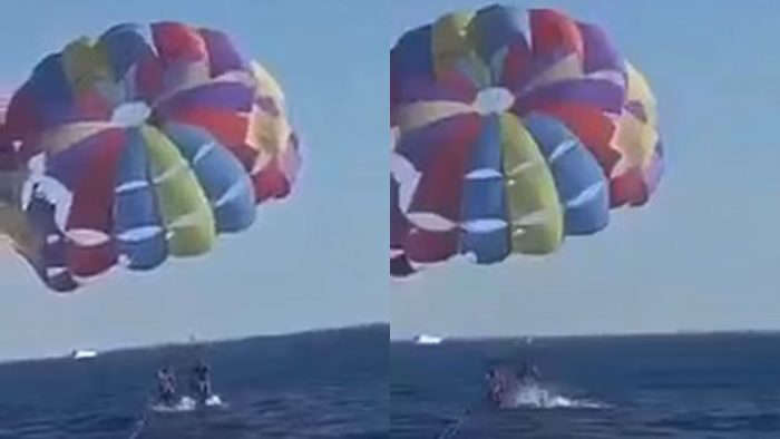 Tubarão salta e ataca homem que voava de parapente sobre o Mar Vermelho; veja o vídeo