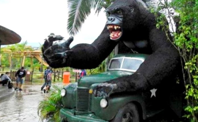 #Pracegover Foto: na imagem há um gorila de brinquedo, pessoas e um veículo