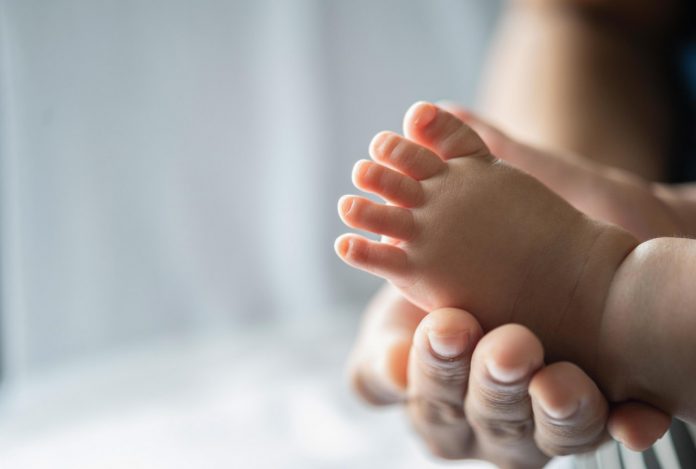 #Pracegover Foto: na imagem há uma mão de uma pessoa adulta e os pés de um bebê