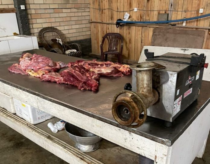 #Pracegover foto: na imagem há carne animal e maquinários