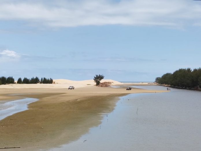#Pracegover foto: na imagem há areia, água e árvores