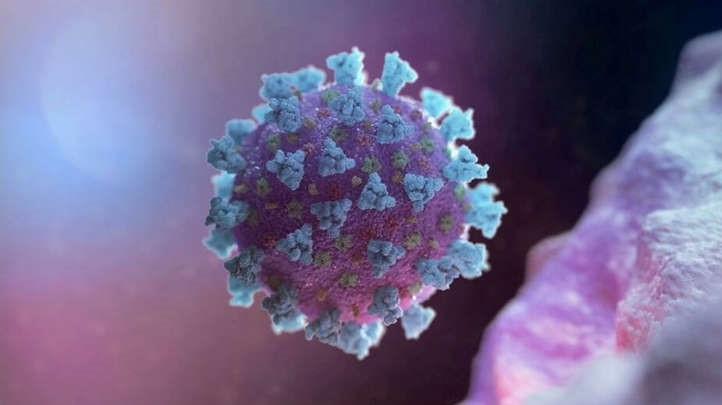 Especialistas temem que nova cepa do coronavírus se torne altamente transmissível