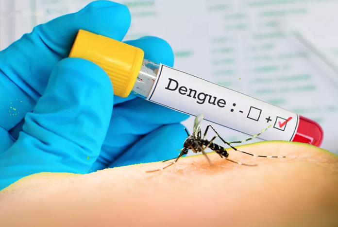 #PraCegoVer Na foto, há um frasco de exame com sangue e um mosquito transmissor da dengue