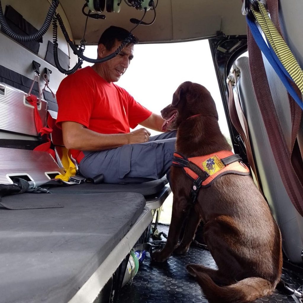 #PraCegoVer Na foto, um bombeiro voluntário e uma cachorra dentro de um helicóptero