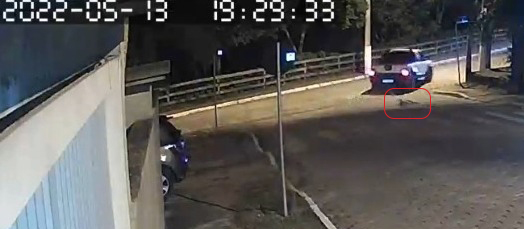 #ParaTodosVerem Na foto, uma captura feita de um vídeo de vigilância, um carro branco é visto passar por uma rua escura arrastando um cachorro de pequeno porte amarrado por um corda ao veículo