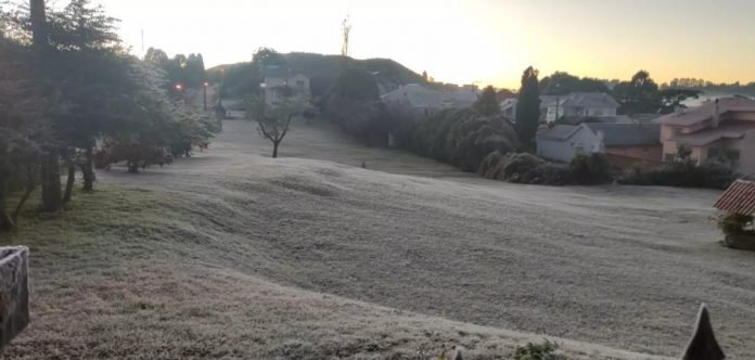 Cidades catarinenses amanhecem com geada e mínimas entre -5ºC e -1°C