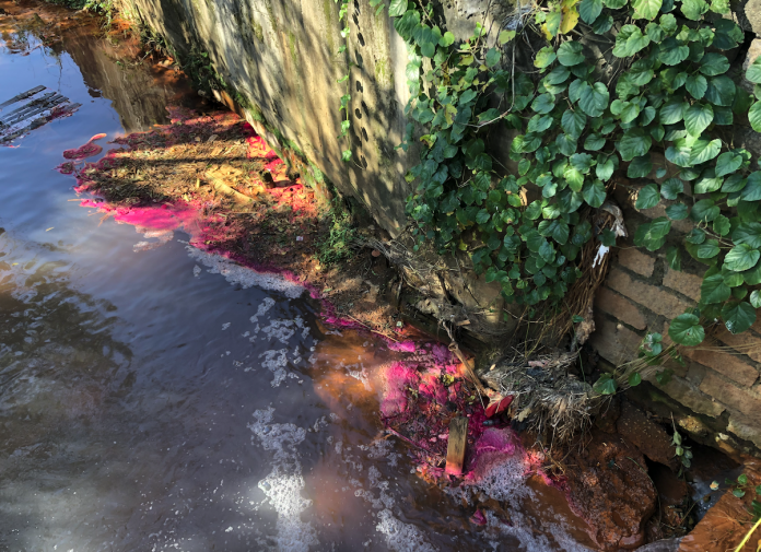#ParaTodosVerem Na foto, um trecho do Rio Linha Anta. As margens e vegetações estão cor-de-rosa depois que um pigmento foi despejado nas águas