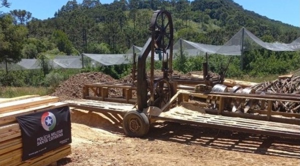 Desmatamento ilegal é flagrado em São Joaquim