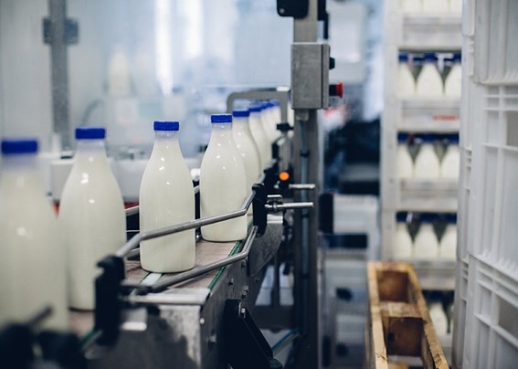 Importação de leite abre crise no setor e provoca abandono da atividade