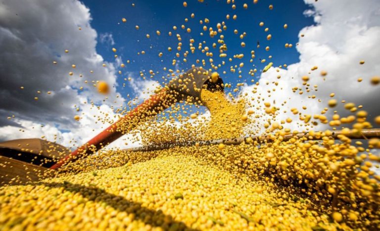 Produção de grãos atinge recorde e tem alta de 18,4% em 2022/2023