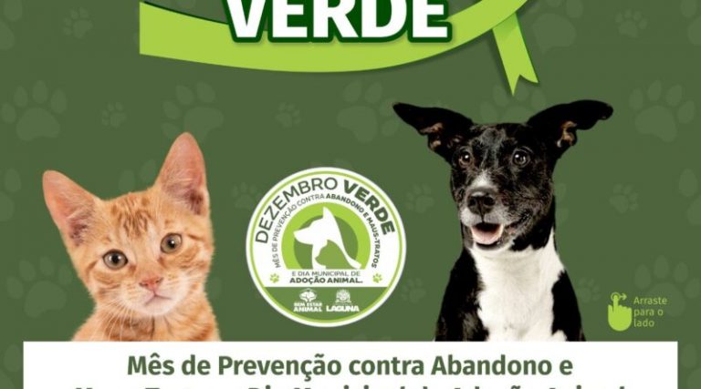 Laguna promove mês do bem-estar animal, contra abandono e maus-tratos