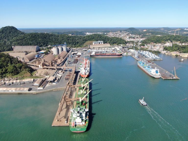 Portos de Santa Catarina registram crescimento de 11,47% na movimentação de cargas em 2023