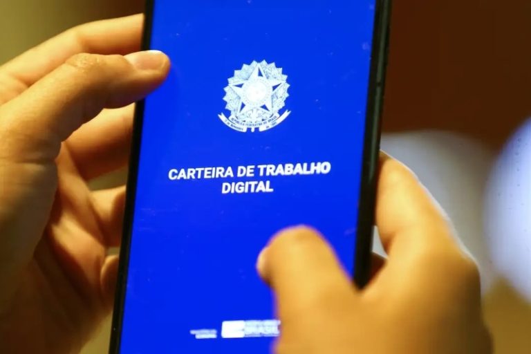 Santa Catarina: menor taxa de desocupação do país em 2023