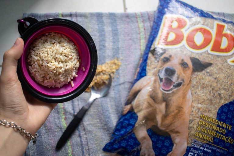Fumacense Alimentos transforma sobras de arroz em nutrição para cães