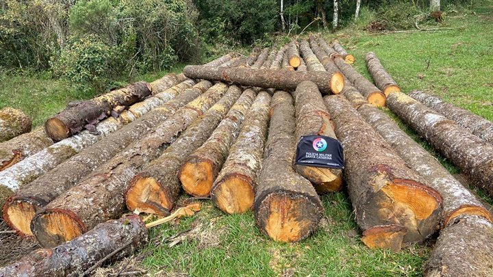 Polícia Militar Ambiental interrompe desmatamento ilegal em Ponte Alta do Norte