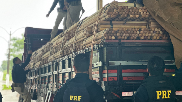 PRF capacita policiais para combate à extração ilegal de madeira