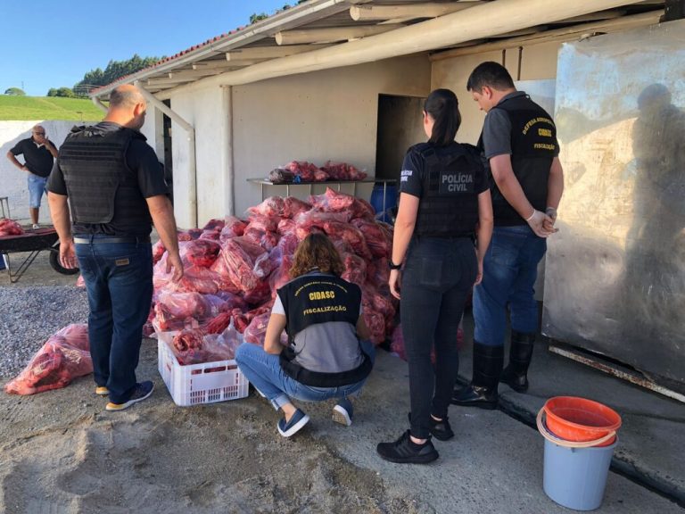 Polícia Civil e CIDASC descobrem abatedouro clandestino e apreendem três toneladas de carne suína