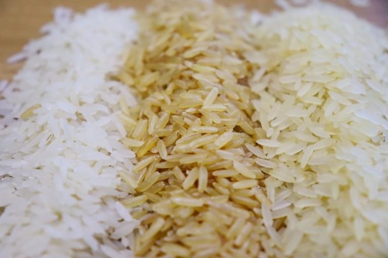 Leilão de arroz importado preocupa indústrias em Santa Catarina