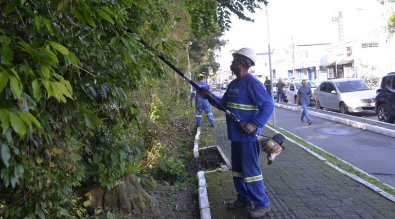 Prefeitura de Tubarão intensifica poda de árvores na avenida Marechal Deodoro em Tubarão
