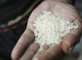 Preço do arroz subiu 20% em 1 ano; entenda 