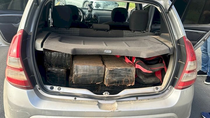 Polícia apreende mais de 200 kg de maconha em Braço do Norte