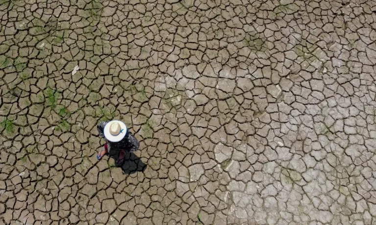 Desmatamento e mudanças climáticas causam seca histórica no Rio Negro