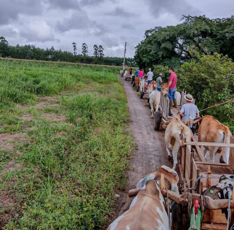 Ceprag realiza primeiro passeio de carro de boi entre São João do Sul e Praia Grande
